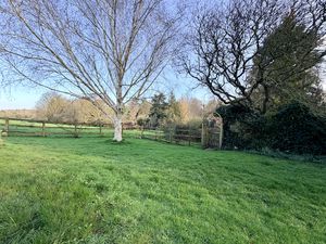 Photo 29- click for photo gallery